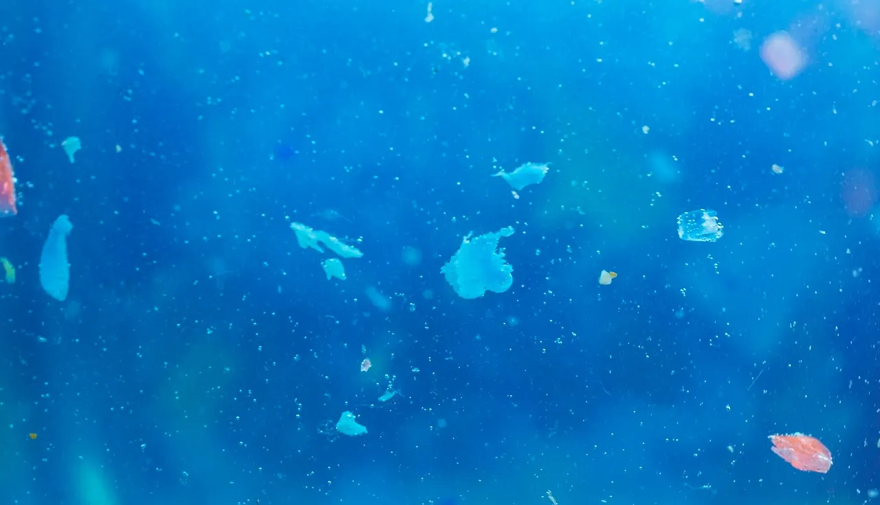 미세플라스틱 이미지.JPG