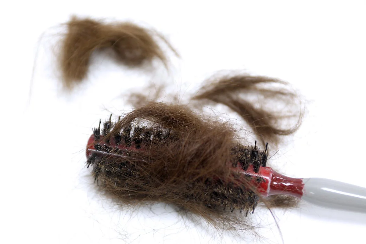 %ED%83%88%EB%AA%A8%EC%9D%B4%EB%AF%B8%EC%A7%802.jpg?type=w1200