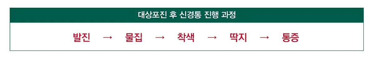 %EB%8C%80%EC%83%81%ED%8F%AC%EC%A7%84_%ED%9B%84_%EC%8B%A0%EA%B2%BD%ED%86%B5_%EC%A7%84%ED%96%89%EA%B3%BC%EC%A0%95.jpg?type=w1200