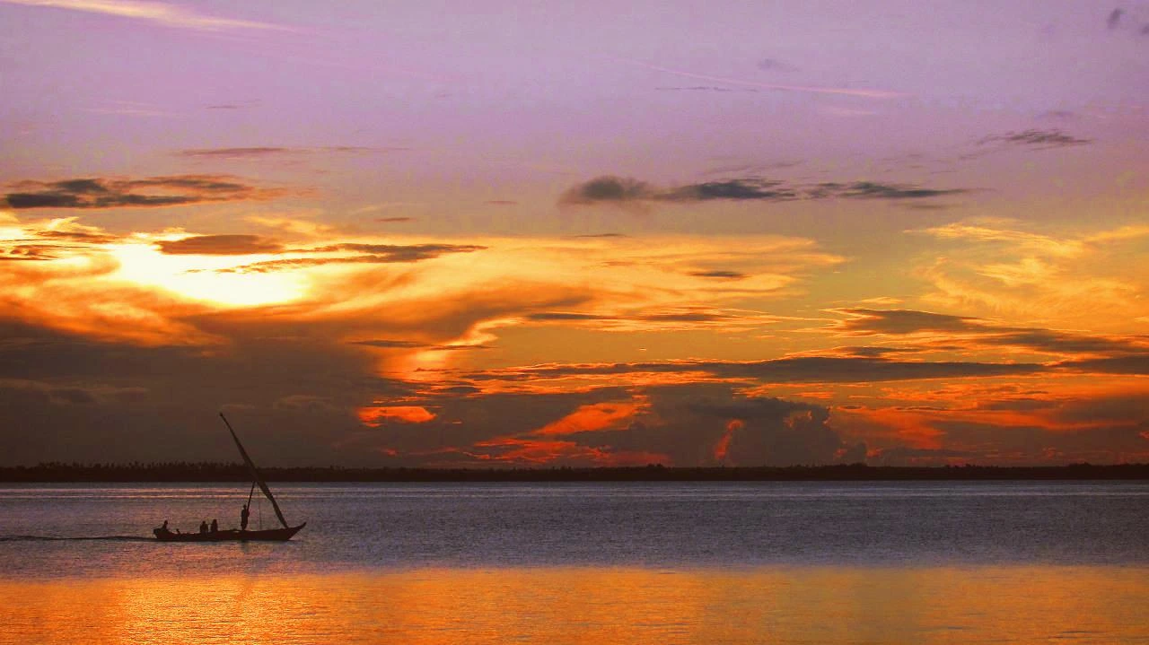 15. 집으로 가는 길.JPG