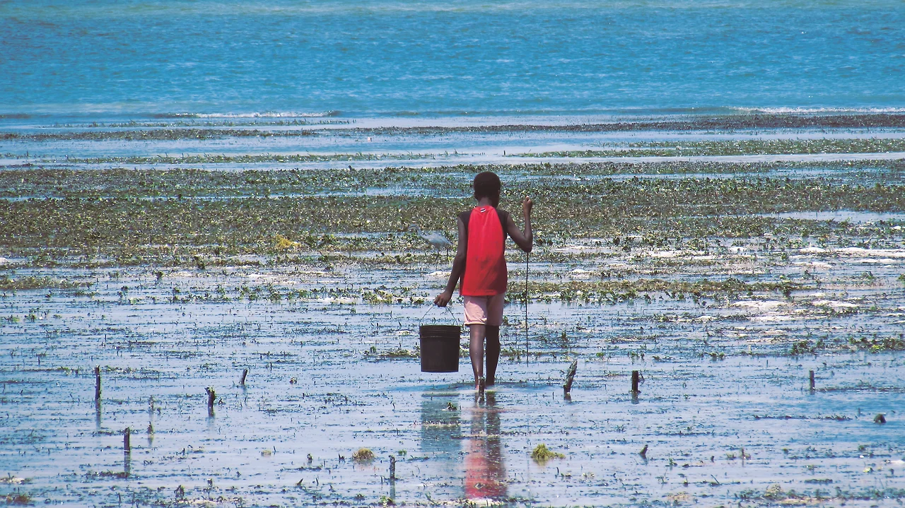 2. 게 잡이 소년.JPG