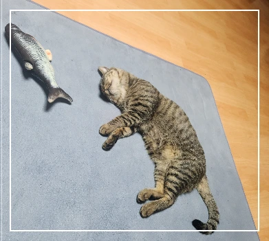 dJ_yZDFqLk84ZXzNrC8fcN6-GTM