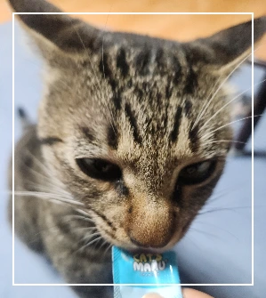 gZi7jwDYbMHT71NysWl8QsfI_TA