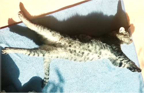 AaMvqLvEIHdPG7Pj8FW91e68olg