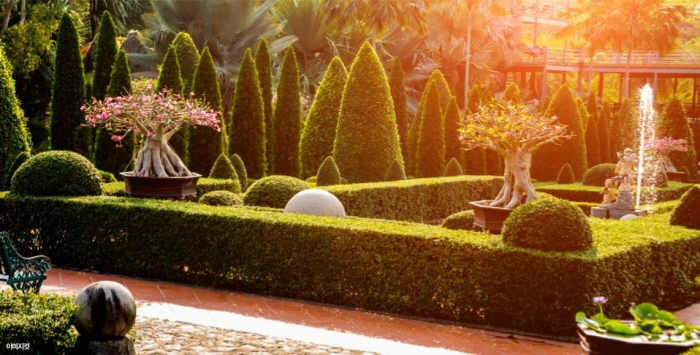 99F8EB4A5DA565FF3395DF