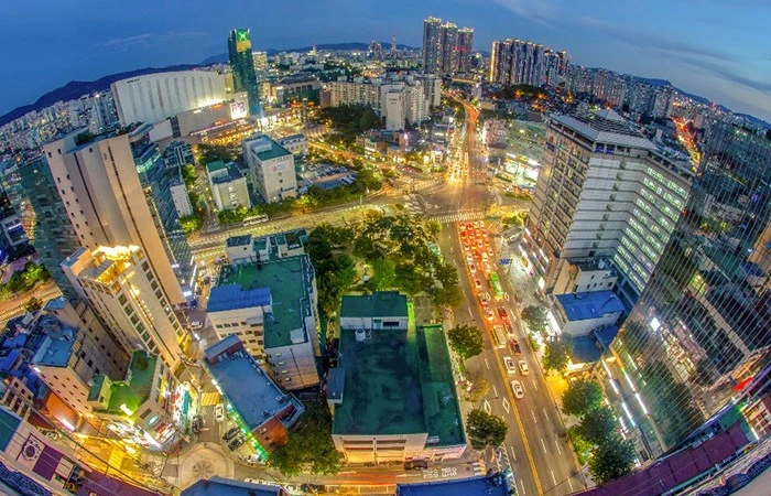 9961AE4B5D36B7B3293CF5