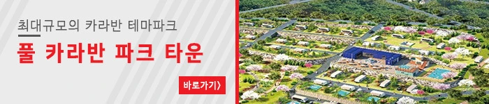 993813335DD4C53603C67E