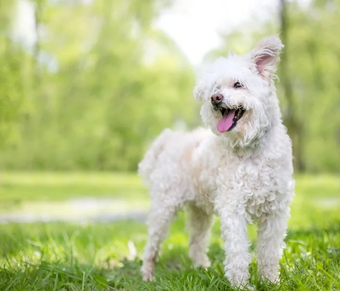 %ED%81%AC%EA%B8%B0%EB%B3%80%ED%99%98shutterstock_1725939565.jpg?type=w1200