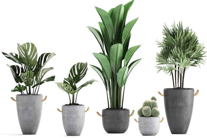 %ED%81%AC%EA%B8%B0%EB%B3%80%ED%99%98shutterstock_1497597824.jpg?type=w1200