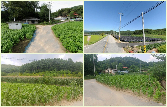 996BD4435D5113151D4EDD