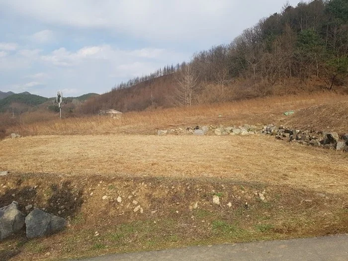 %EC%B6%98%EC%B2%9C%EC%A0%84%EC%9B%90%EC%A3%BC%ED%83%9D2.jpg?type=w1200