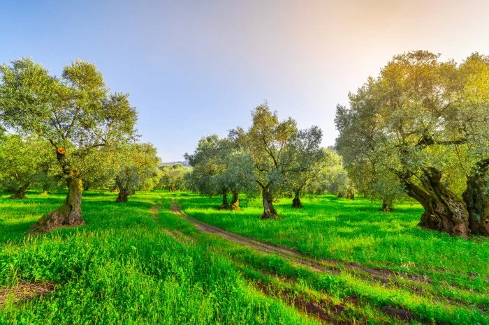 %ED%81%AC%EA%B8%B0%EB%B3%80%ED%99%98shutterstock_1673935543.jpg?type=w1200