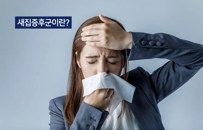 995F7E335A288A04320FAB