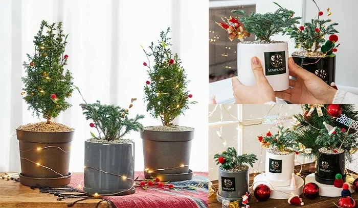 %ED%81%AC%EA%B8%B0%EB%B3%80%ED%99%9816.jpg?type=w1200