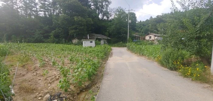 %EB%B3%80%ED%99%9820190805_172129_HDR.jpg?type=w1200