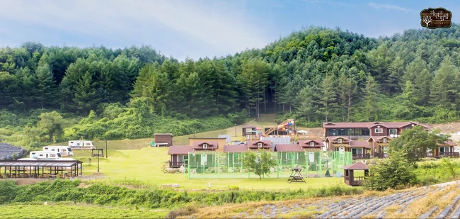 99C6404F5A53309A068214