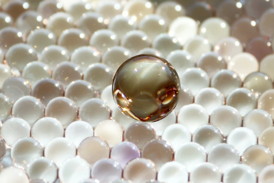 pexels-ella-wei-6645197.jpg?type=w1