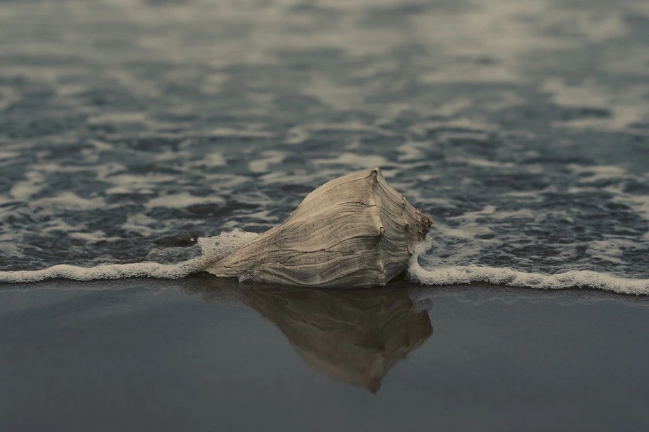 pexels-alan-cabello-917486.jpg?type=w1