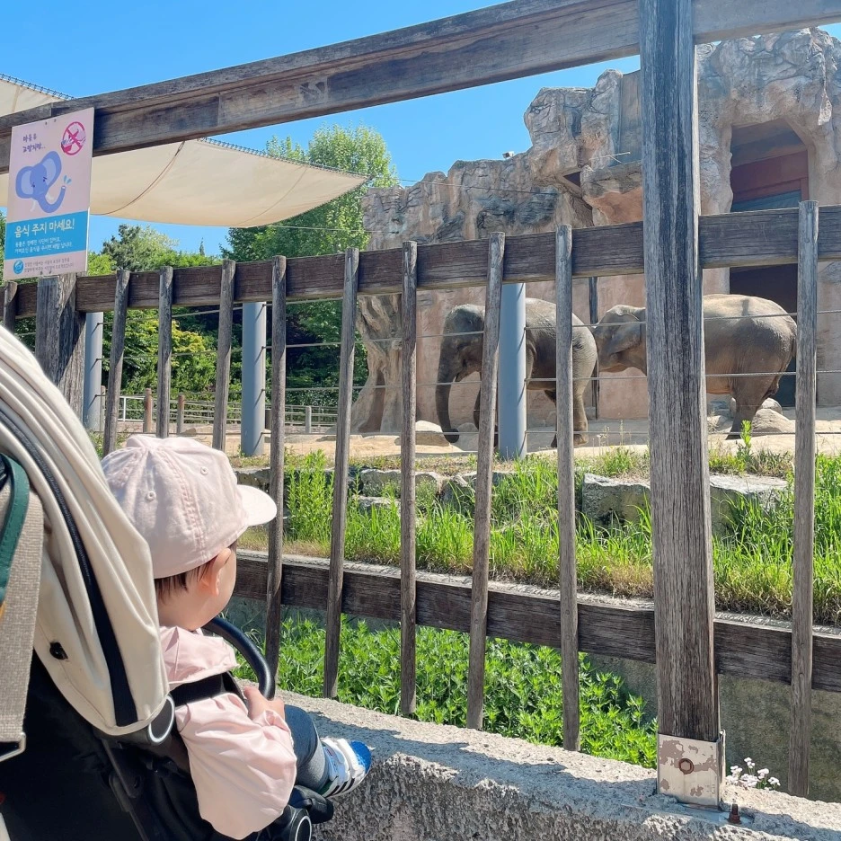 1653136871750.jpg?type=w1