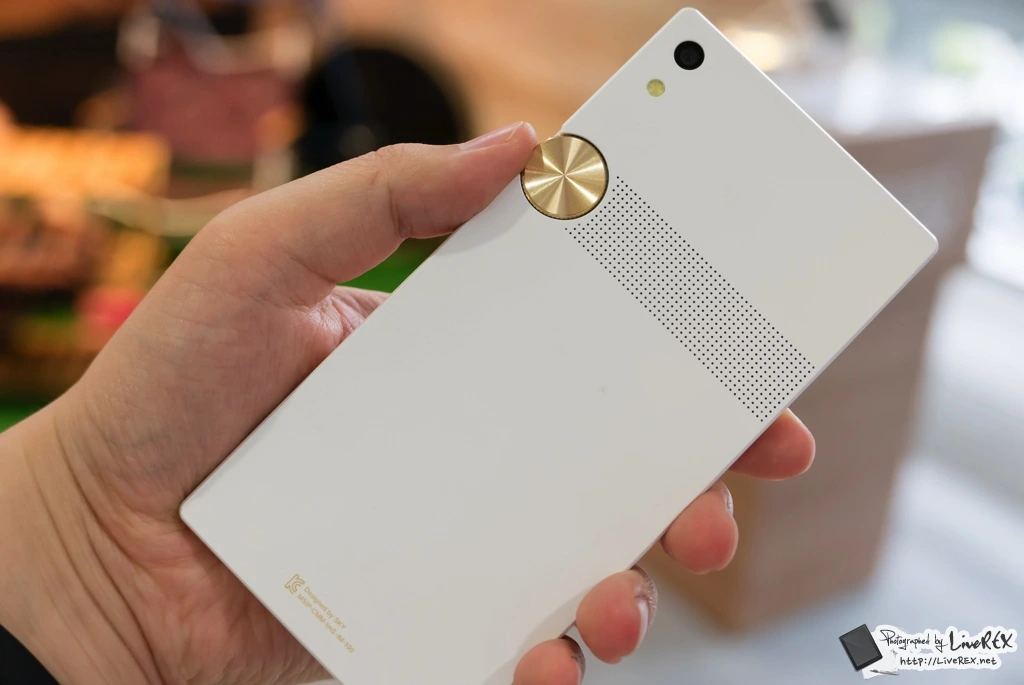 212FCE43576A42BB2DAB29