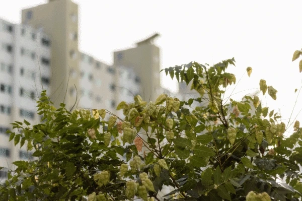 2255574755C53EE83D8D36