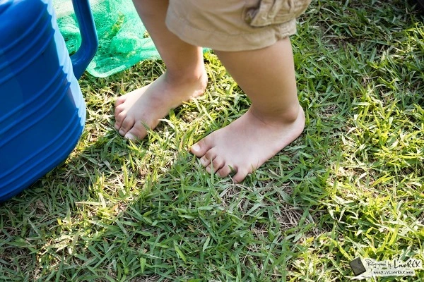 212CC13555BB863A2BE70A