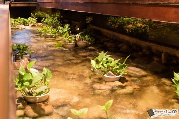 252DFF3555BB863529526C