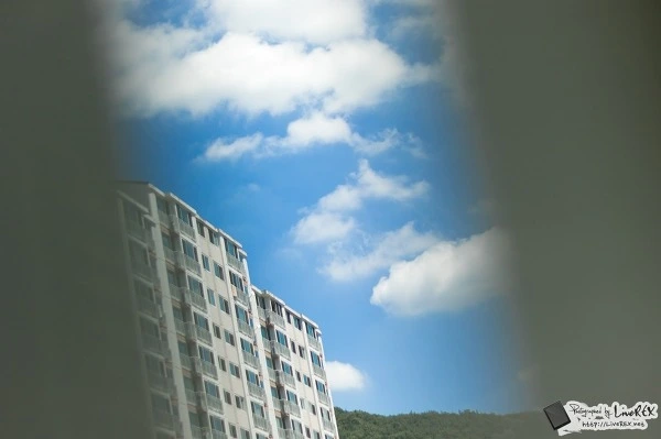 231D9C3555BB8633340974