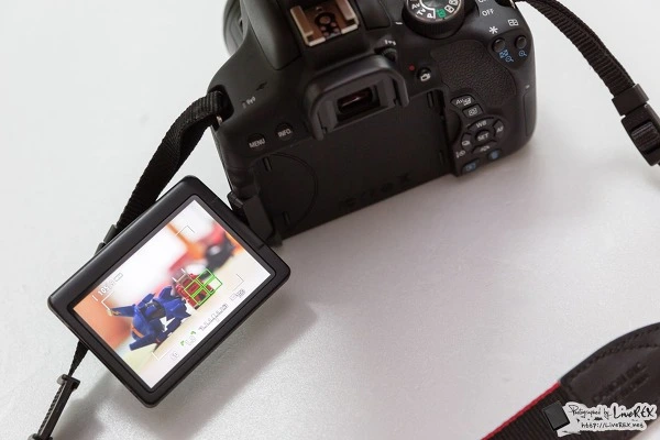 216A9B4855C53ED82DBFA6