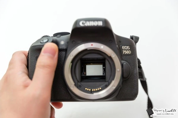 26460F4255BB7CBA114C22