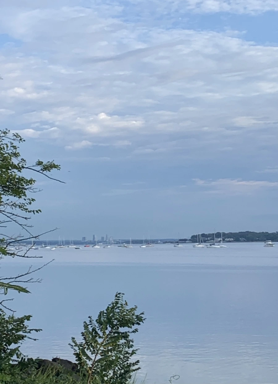 IMG_7745.jpg?type=w966