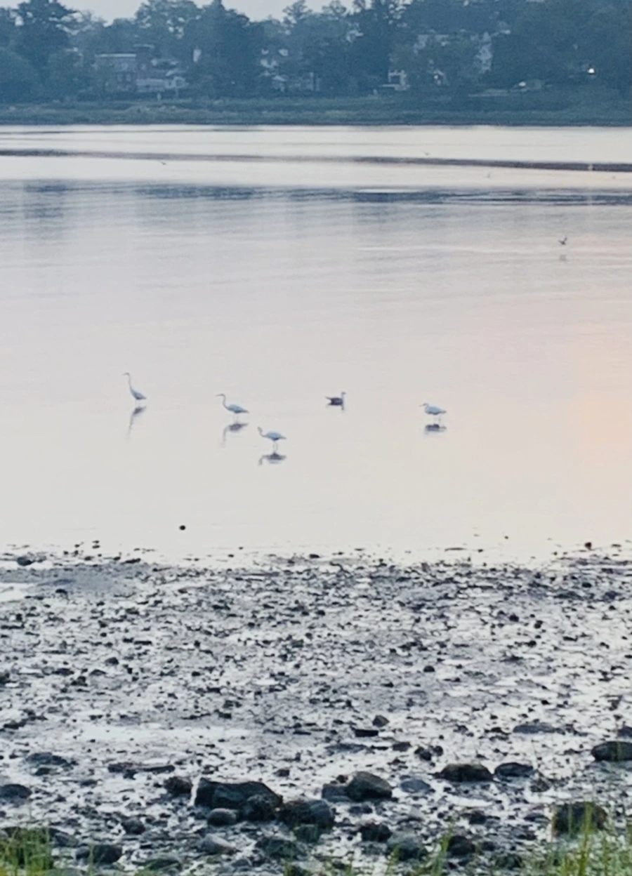 IMG_8168.jpg?type=w966