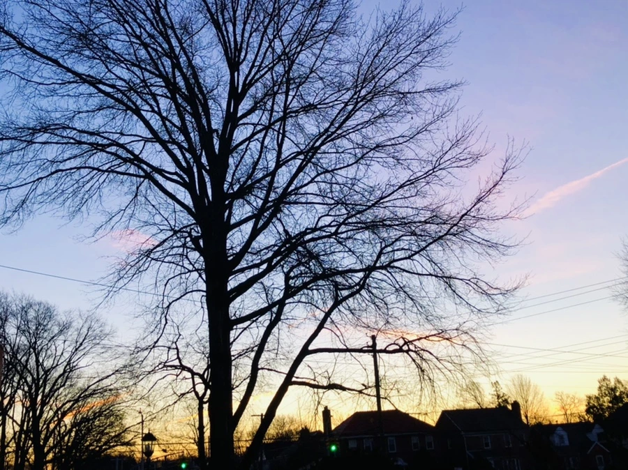 IMG_5599.jpg?type=w966