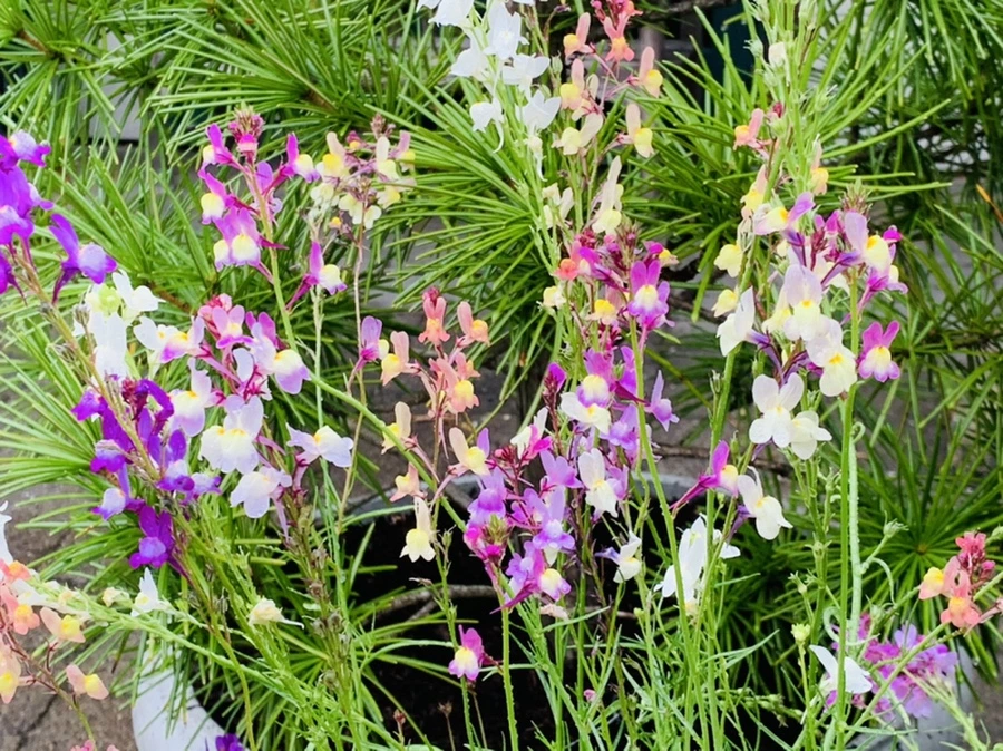 IMG_9830.jpg?type=w966