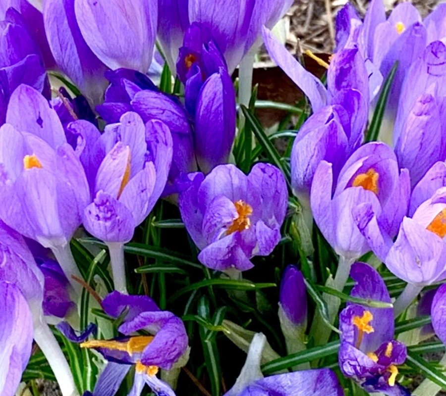 IMG_1278.jpg?type=w966