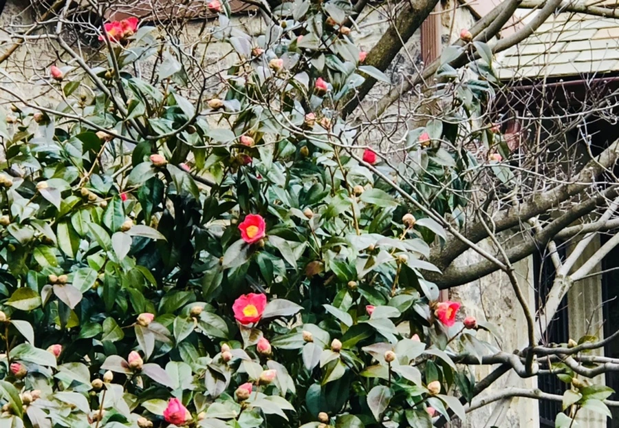 IMG_9828.jpg?type=w966