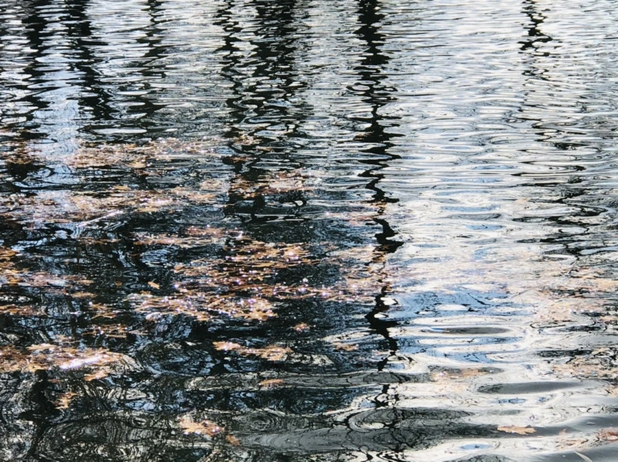 IMG_4362.jpg?type=w966