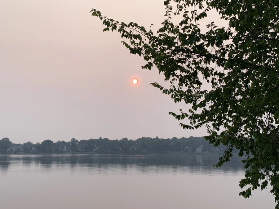 IMG_8088.jpg?type=w966