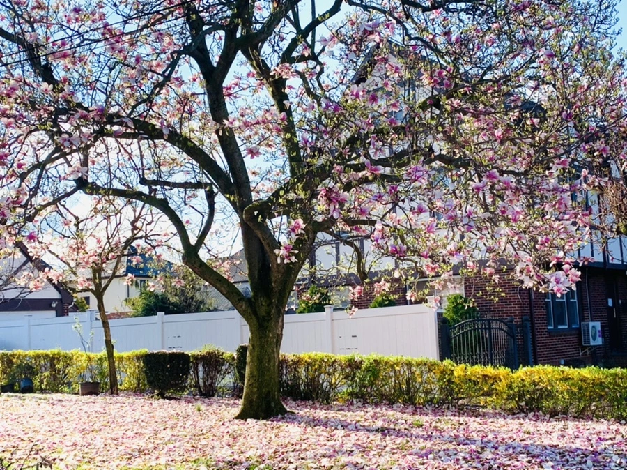 IMG_2704.jpg?type=w966