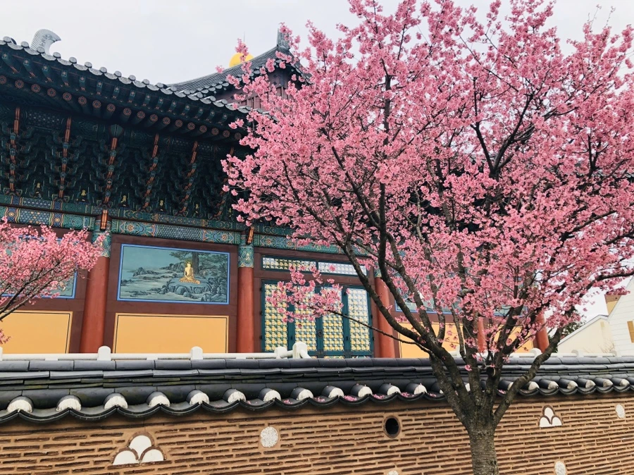 IMG_6120.jpg?type=w966