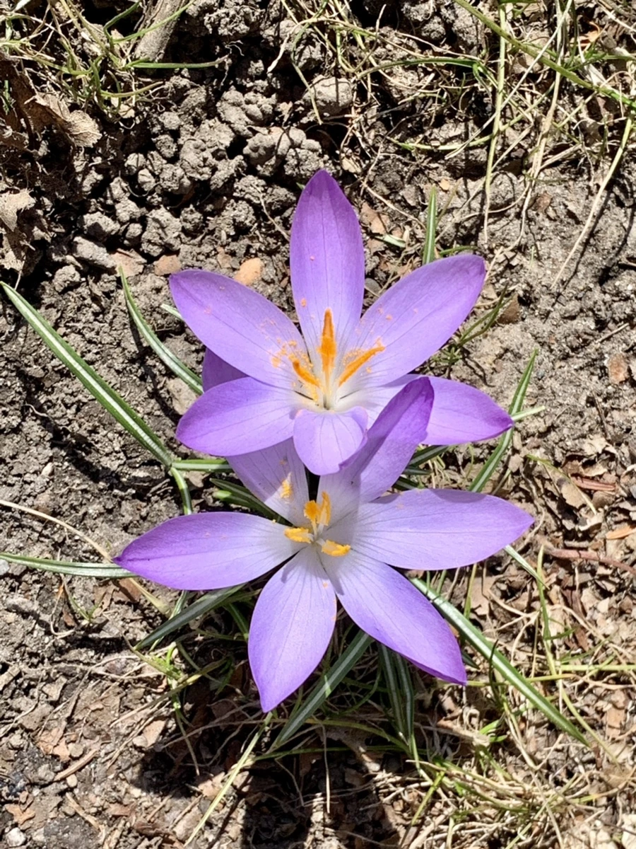 IMG_9190.jpg?type=w966