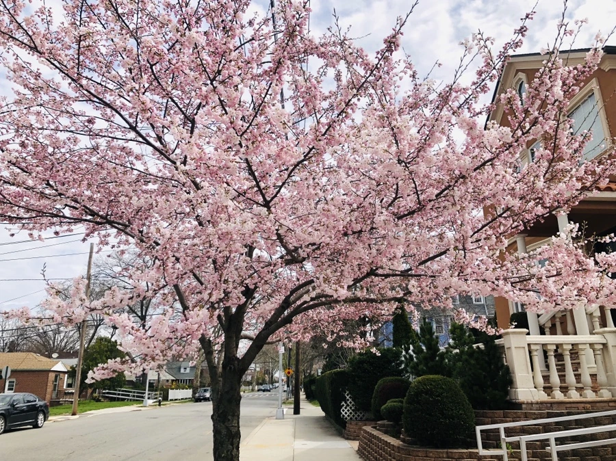 IMG_2805.jpg?type=w966