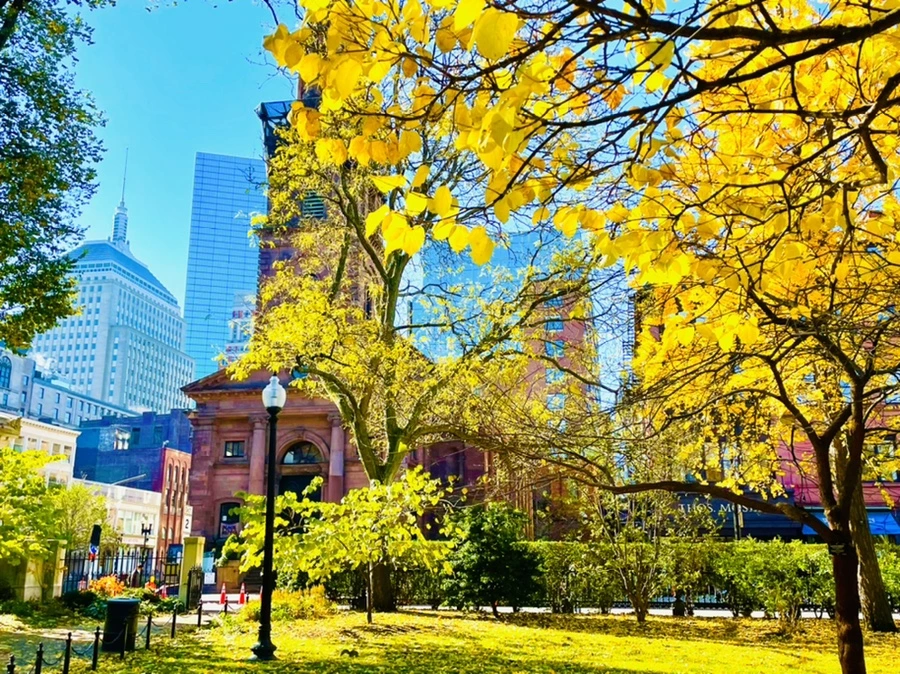 IMG_2600.jpg?type=w966