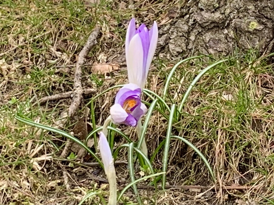 IMG_7090.jpg?type=w966