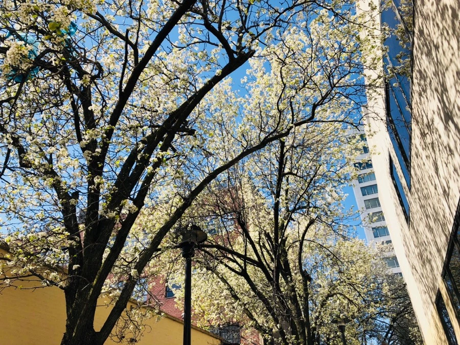 IMG_4596.jpg?type=w966