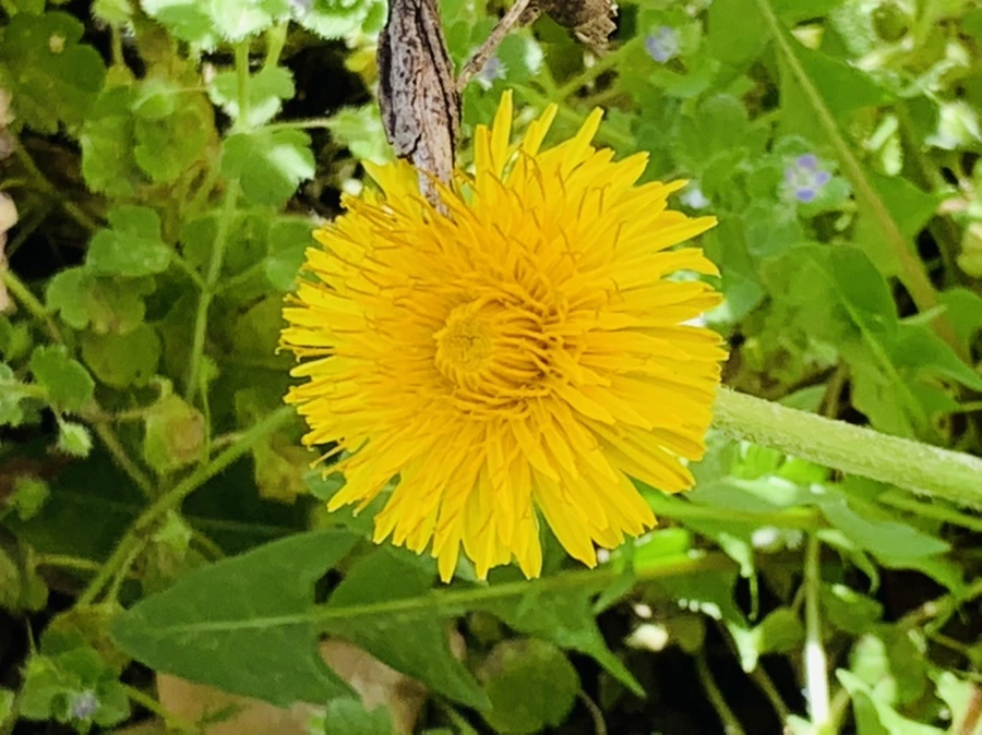 IMG_4534.jpg?type=w966