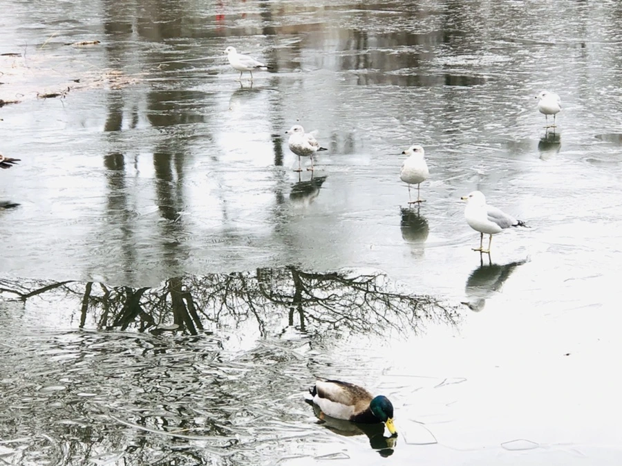 IMG_9025.jpg?type=w966