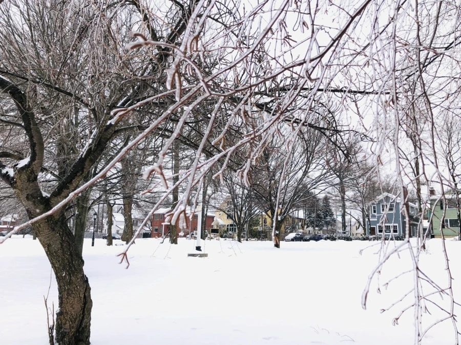 IMG_3688.jpg?type=w966