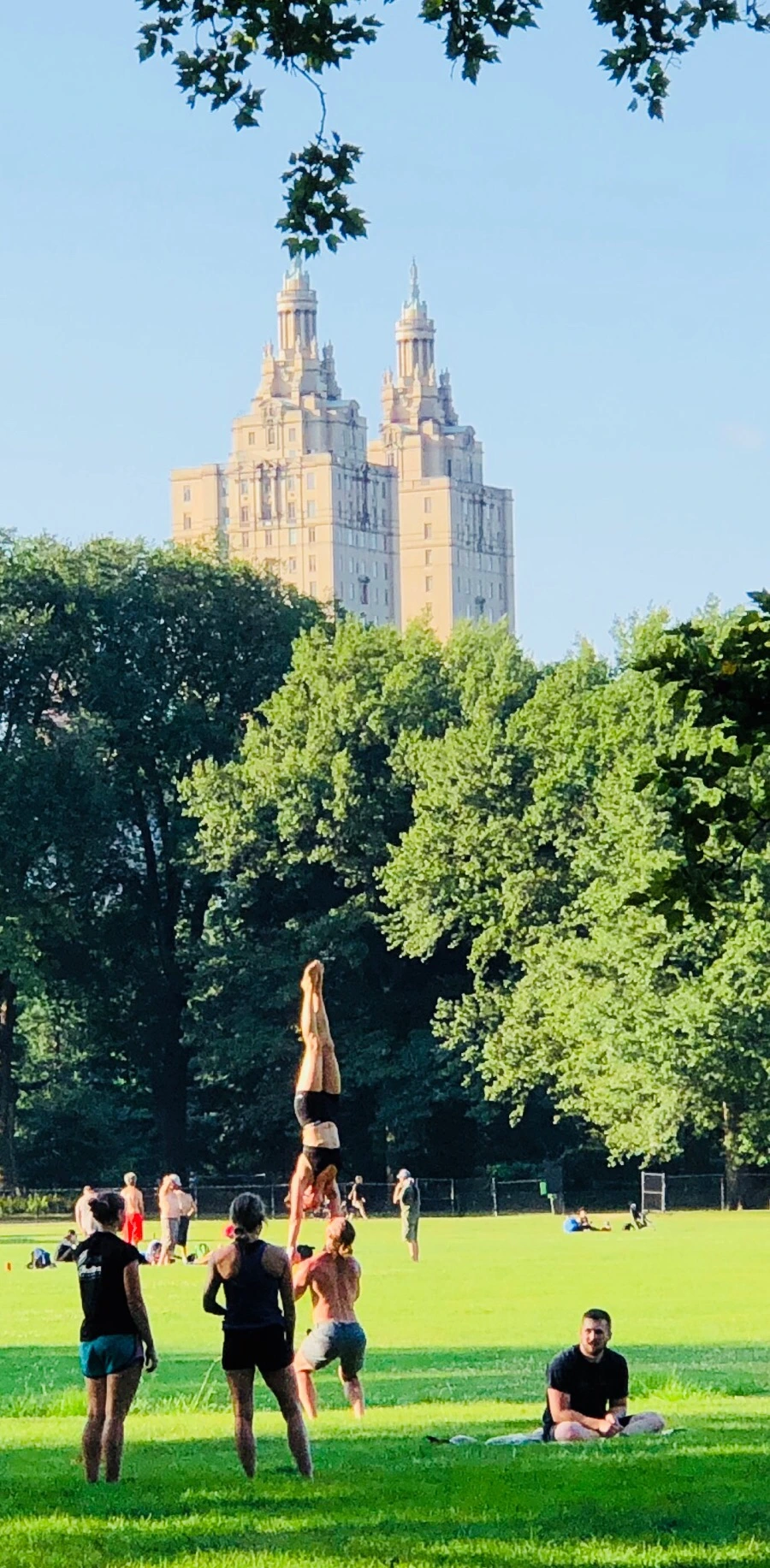 IMG_1096.jpg?type=w966