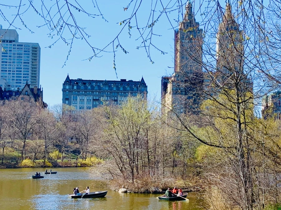 IMG_6889.jpg?type=w966